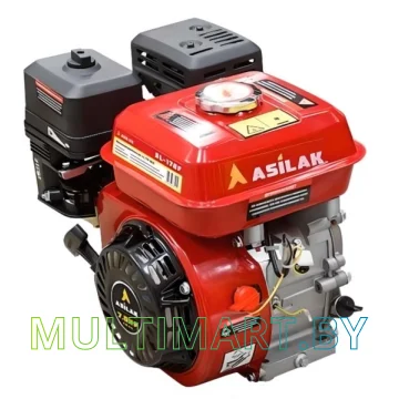 Бензиновый двигатель Asilak SL-170F-SH25